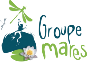 logo-groupe-mares